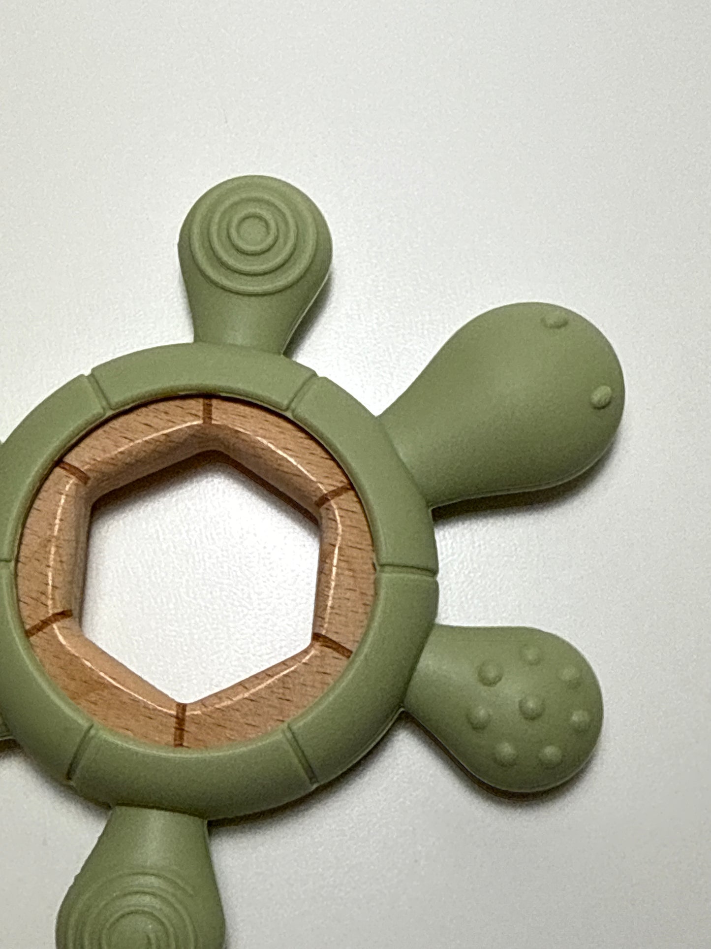 MORDEDOR TORTUGA